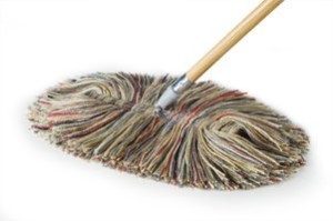 Big-Wooly-Dry-Mop-review