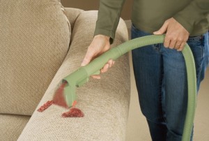 Bissell-Little-Green-Proheat-Model