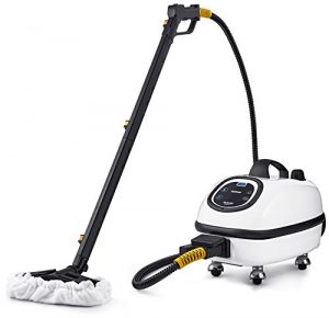 dupray-tosca-steam-system-review