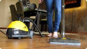 McCulloch-MC-1275-Cleaner-review